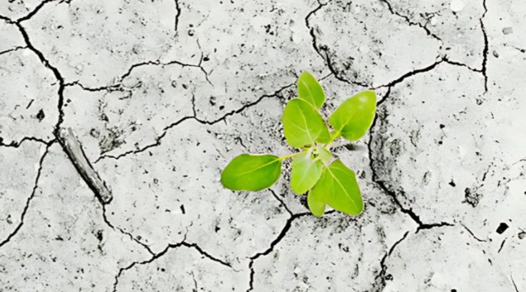 Akvo Water from air to fight water scarcity